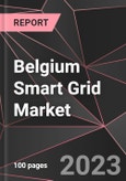 Belgium Smart Grid Market Report - Market Analysis, Size, Share, Growth, Outlook - Industry Trends and Forecast to 2028- Product Image