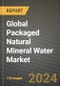 Global Packaged Natural Mineral Water Market Outlook Report: Industry Size, Competition, Trends and Growth Opportunities by Region, YoY Forecasts from 2024 to 2031 - Product Image