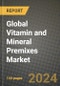 Global Vitamin and Mineral Premixes Market Outlook Report: Industry Size, Competition, Trends and Growth Opportunities by Region, YoY Forecasts from 2024 to 2031 - Product Image