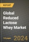 Global Reduced Lactose Whey Market Outlook Report: Industry Size, Competition, Trends and Growth Opportunities by Region, YoY Forecasts from 2024 to 2031 - Product Image