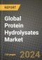 Global Protein Hydrolysates Market Outlook Report: Industry Size, Competition, Trends and Growth Opportunities by Region, YoY Forecasts from 2024 to 2031 - Product Image