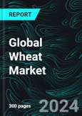 Global Wheat Market Report by End User - B2B (Industrial Use, Food & Beverages, Animal Feed, Others), Nature (Conventional, Organic), B2C (Online, Offline) Countries and Company Analysis,2024-2032- Product Image