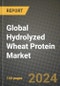 Global Hydrolyzed Wheat Protein Market Outlook Report: Industry Size, Competition, Trends and Growth Opportunities by Region, YoY Forecasts from 2024 to 2031 - Product Image