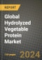 Global Hydrolyzed Vegetable Protein Market Outlook Report: Industry Size, Competition, Trends and Growth Opportunities by Region, YoY Forecasts from 2024 to 2031 - Product Thumbnail Image