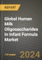 Global Human Milk Oligosaccharides In Infant Formula Market Outlook Report: Industry Size, Competition, Trends and Growth Opportunities by Region, YoY Forecasts from 2024 to 2031 - Product Image