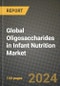 Global Oligosaccharides in Infant Nutrition Market Outlook Report: Industry Size, Competition, Trends and Growth Opportunities by Region, YoY Forecasts from 2024 to 2031 - Product Thumbnail Image