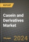Casein and Derivatives Market: Industry Size, Share, Competition, Trends, Growth Opportunities and Forecasts by Region - Insights and Outlook by Product, 2024 to 2031 - Product Image