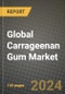 Global Carrageenan Gum Market Outlook Report: Industry Size, Competition, Trends and Growth Opportunities by Region, YoY Forecasts from 2024 to 2031 - Product Image