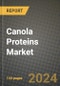 Canola Proteins Market Outlook Report: Industry Size, Competition, Trends and Growth Opportunities by Region, YoY Forecasts from 2024 to 2031 - Product Thumbnail Image