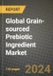 Global Grain-sourced Prebiotic Ingredient Market Outlook Report: Industry Size, Competition, Trends and Growth Opportunities by Region, YoY Forecasts from 2024 to 2031 - Product Image