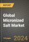 Global Micronized Salt Market Outlook Report: Industry Size, Competition, Trends and Growth Opportunities by Region, YoY Forecasts from 2024 to 2031 - Product Thumbnail Image