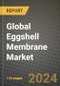 Global Eggshell Membrane Market Outlook Report: Industry Size, Competition, Trends and Growth Opportunities by Region, YoY Forecasts from 2024 to 2031 - Product Image