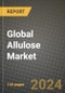 Global Allulose Market Outlook Report: Industry Size, Competition, Trends and Growth Opportunities by Region, YoY Forecasts from 2024 to 2031 - Product Image