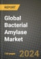 Global Bacterial Amylase Market Outlook Report: Industry Size, Competition, Trends and Growth Opportunities by Region, YoY Forecasts from 2024 to 2031 - Product Image