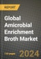 Global Amicrobial Enrichment Broth Market Outlook Report: Industry Size, Competition, Trends and Growth Opportunities by Region, YoY Forecasts from 2024 to 2031 - Product Image