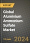 Global Aluminium Ammonium Sulfate Market Outlook Report: Industry Size, Competition, Trends and Growth Opportunities by Region, YoY Forecasts from 2024 to 2031 - Product Image