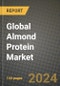 Global Almond Protein Market Outlook Report: Industry Size, Competition, Trends and Growth Opportunities by Region, YoY Forecasts from 2024 to 2031 - Product Image
