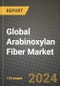 Global Arabinoxylan Fiber Market Outlook Report: Industry Size, Competition, Trends and Growth Opportunities by Region, YoY Forecasts from 2024 to 2031 - Product Thumbnail Image