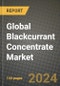 Global Blackcurrant Concentrate Market Outlook Report: Industry Size, Competition, Trends and Growth Opportunities by Region, YoY Forecasts from 2024 to 2031 - Product Image