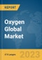 Oxygen Global Market Opportunities And Strategies To 2032 - Product Thumbnail Image