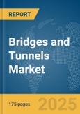 Bridges and Tunnels Market Report 2025- Product Image