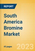 South America Bromine Market Summary, Competitive Analysis and Forecast to 2027- Product Image