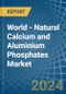 World - Natural Calcium and Aluminium Phosphates - Market Analysis, Forecast, Size, Trends and Insights - Product Thumbnail Image
