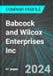 Babcock and Wilcox Enterprises Inc (BW:NYS): Analytics, Extensive Financial Metrics, and Benchmarks Against Averages and Top Companies Within its Industry - Product Thumbnail Image