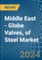 Middle East - Globe Valves, of Steel - Market Analysis, Forecast, Size, Trends and Insights - Product Image