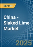 China - Slaked Lime - Market Analysis, Forecast, Size, Trends and Insights- Product Image