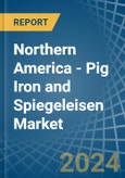 Northern America - Pig Iron and Spiegeleisen - Market Analysis, Forecast, Size, Trends and Insights- Product Image