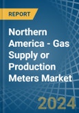 Northern America - Gas Supply or Production Meters - Market Analysis, Forecast, Size, Trends and Insights- Product Image