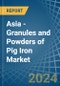Asia - Granules and Powders of Pig Iron - Market Analysis, Forecast, Size, Trends and Insights - Product Image