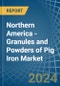 Northern America - Granules and Powders of Pig Iron - Market Analysis, Forecast, Size, Trends and Insights - Product Image
