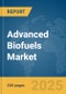 Advanced Biofuels Market Report 2025 - Product Thumbnail Image