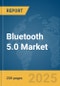 Bluetooth 5.0 Market Report 2025 - Product Thumbnail Image