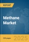 Methane Market Report 2025 - Product Thumbnail Image