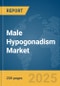 Male Hypogonadism Market Report 2025 - Product Thumbnail Image