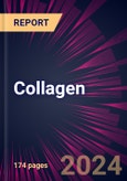 Collagen 2024-2028- Product Image