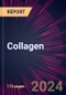 Collagen 2024-2028 - Product Image