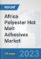 Africa Polyester Hot Melt Adhesives Market: Prospects, Trends Analysis, Market Size and Forecasts up to 2030 - Product Thumbnail Image