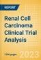 Renal Cell Carcinoma Clinical Trial Analysis by Trial Phase, Trial Status, Trial Counts, End Points, Status, Sponsor Type and Top Countries, 2023 Update - Product Thumbnail Image