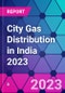 City Gas Distribution in India 2023 - Product Image
