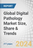 Global Digital Pathology Market Size, Share & Trends by Product (Scanner, Software, Storage System), Type (Human, Veterinary), Application (Teleconsultation, Training, Disease Diagnosis, Drug Discovery), End User (Pharma & Biotech, Academia, Hospitals) - Forecast to 2029- Product Image