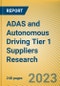 ADAS and Autonomous Driving Tier 1 Suppliers Research Report, 2023 - Chinese Companies - Product Thumbnail Image