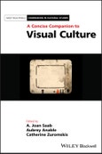 A Concise Companion to Visual Culture. Edition No. 1. Blackwell Companions in Cultural Studies- Product Image
