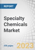 Specialty Chemicals Market by Type (Plasticizers, Water-Based, Coagulants and Flocculants, Scale Inhibitors), Application (Paper and Packaging, Automotive, Consumer Goods, Construction), and Region - Forecast to 2028- Product Image