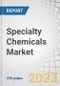 Specialty Chemicals Market by Type (Plasticizers, Water-Based, Coagulants and Flocculants, Scale Inhibitors), Application (Paper and Packaging, Automotive, Consumer Goods, Construction), and Region - Forecast to 2028 - Product Thumbnail Image