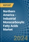 Northern America - Industrial Monocarboxylic Fatty Acids - Market Analysis, Forecast, Size, Trends and Insights - Product Image