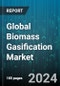 Global Biomass Gasification Market by Source (Agricultural Waste, Animal Waste, Forest Waste), Technologies (Entrained flow Gasifier, Fixed-bed Gasifier, Fluidized-bed Gasifier), Application - Forecast 2024-2030 - Product Image